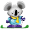 �X�L�[�c�A�[���X�m�[�{�[�h�c�A�[�̃C���t�H���[�V����