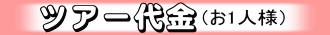ツアー代金