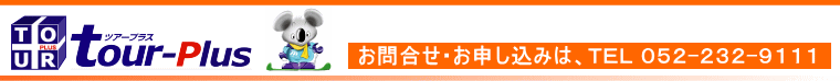 cA[vX CtH[V